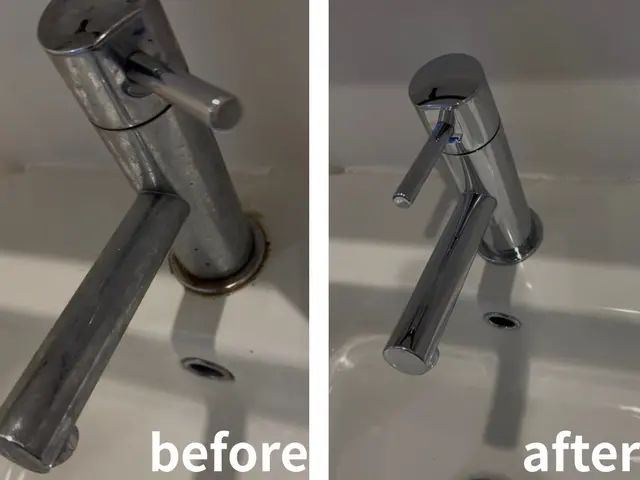 【経験24年の実績】ペット赤ちゃん◎コロナ対策強化中　クレカジット可◎サービスの画像