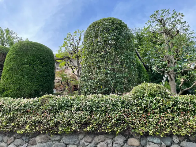 お庭を綺麗にしませんか！職人歴24年の経験と実績！私が責任を持って伺います！サービスの画像