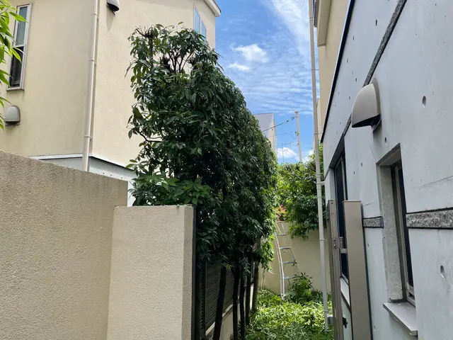 お庭を綺麗にしませんか！職人歴24年の経験と実績！私が責任を持って伺います！サービスの画像