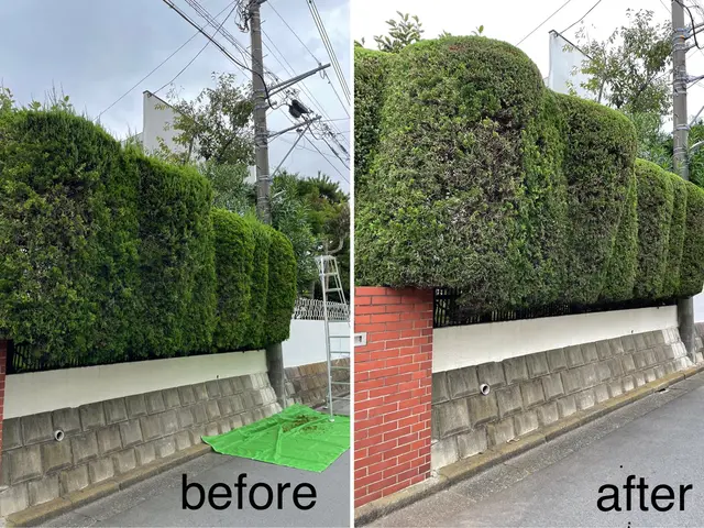 お庭を綺麗にしませんか！職人歴24年の経験と実績！私が責任を持って伺います！サービスの画像