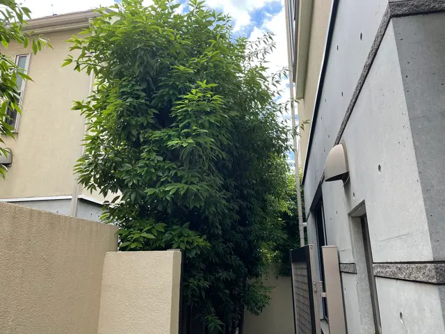 お庭を綺麗にしませんか！職人歴24年の経験と実績！私が責任を持って伺います！サービスの画像