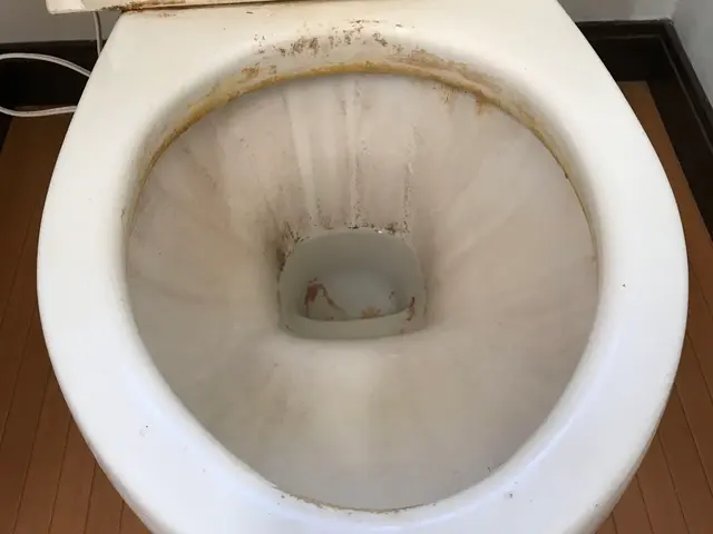 損害保険加入済みで安心◎早朝・深夜作業でも追加料金はありません！サービスの画像