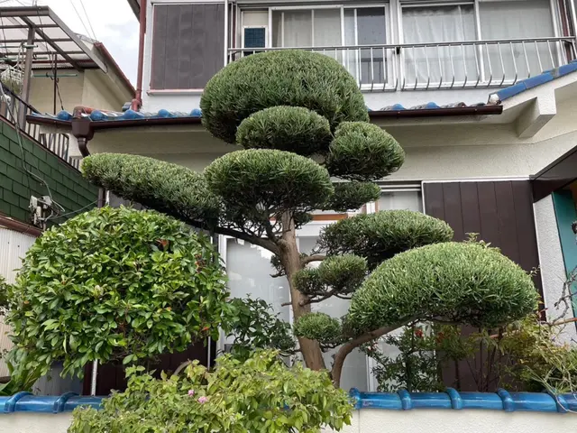 【親切・丁寧】有資格技術者同行OK！すべて自社対応しております。サービスの画像