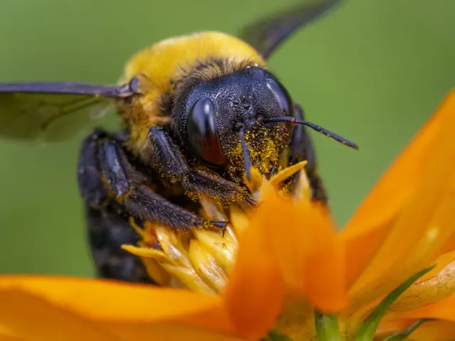 いきいきペット撮影