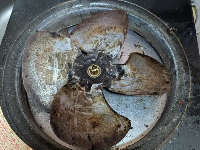 激安キャンペーン中！通常¥13,200が今なら¥11,000〜サービスの画像