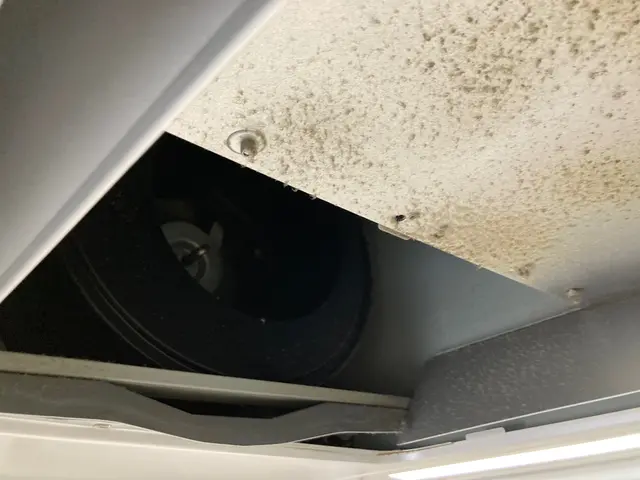 【丁寧な作業で徹底洗浄】快適な暮らしをお届けいたします！サービスの画像