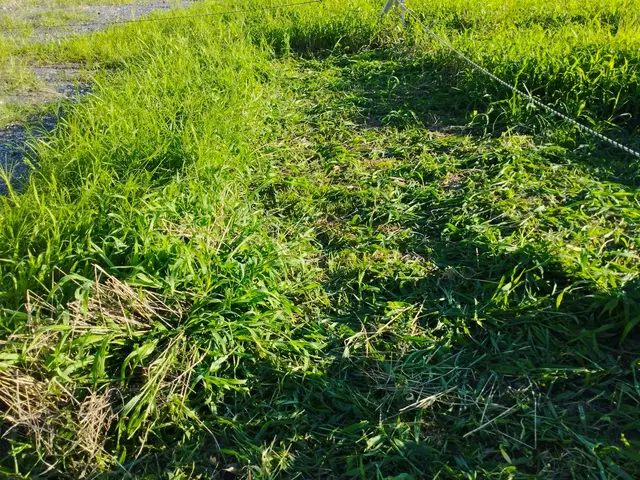 【業界歴20年のプロ！】◎女性スタッフ同行可能！目配り・気配り・心配りがモットーサービスの画像