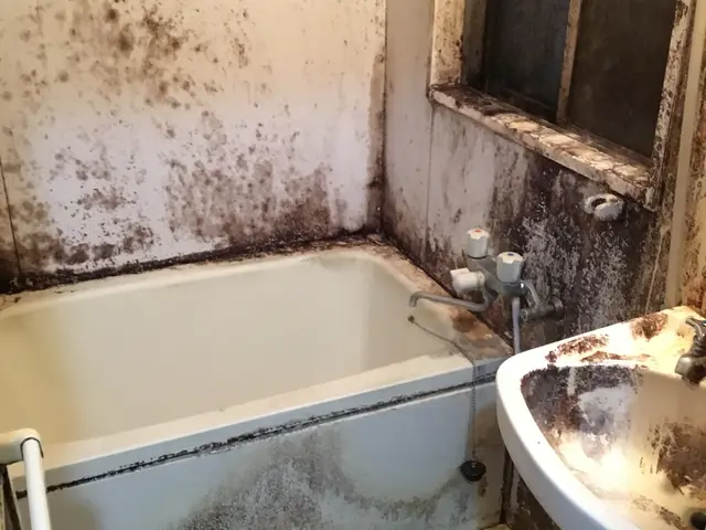 大手業務経験7年以上!鏡研磨込み《カード払いOK！駐車代お店負担◎)サービスの画像