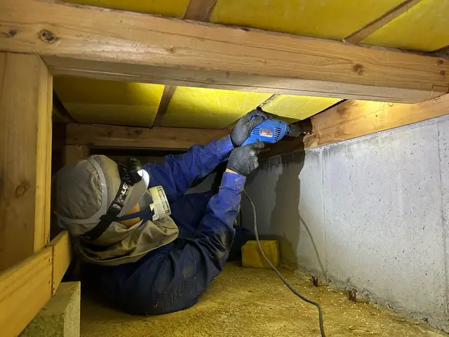 【羽の生えたアリが大量】あなたの「困った」を当社スタッフが全力で解決します！サービスの画像