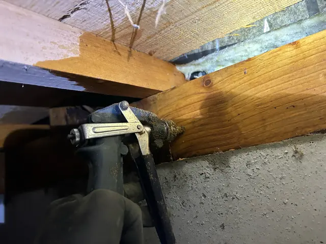 【羽の生えたアリが大量】あなたの「困った」を当社スタッフが全力で解決します！サービスの画像