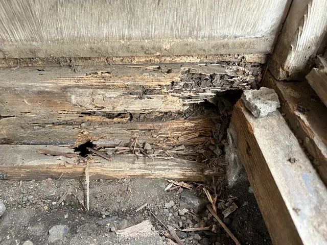 【羽の生えたアリが大量】あなたの「困った」を当社スタッフが全力で解決します！サービスの画像