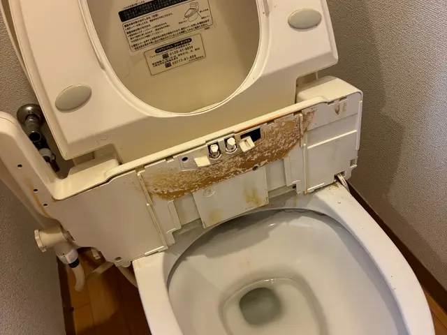 繁忙期突入！予約はお早めに！気になる尿石黒ずみ悩みに！サービスの画像