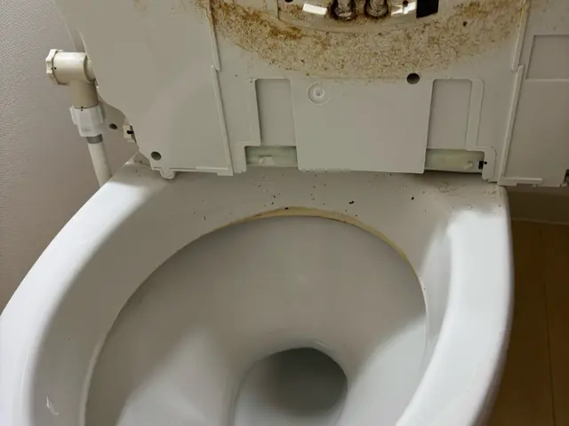 繁忙期突入！予約はお早めに！気になる尿石黒ずみ悩みに！サービスの画像