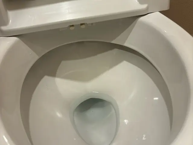 繁忙期突入！予約はお早めに！気になる尿石黒ずみ悩みに！サービスの画像