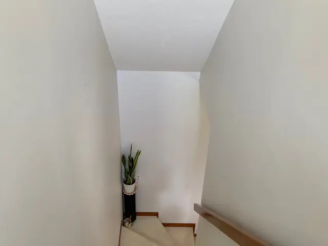 クロス張替えや壁補修ならお任せ下さい！サービスの画像