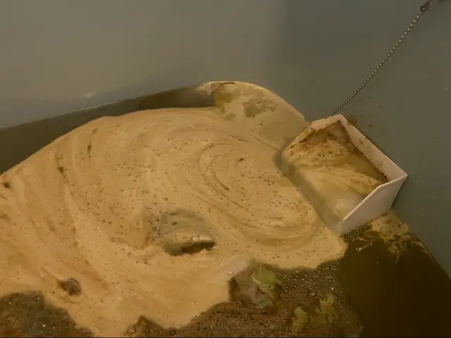 お風呂掃除とセットでご依頼いただければ2000円割引します！サービスの画像