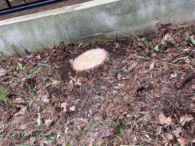 プロの技術でご満足いただけるように心を込めて作業いたしますサービスの画像