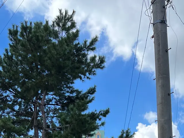 作業外注一切なし◎駐車場代お店負担♪豊富な経験と知識で安心！サービスの画像