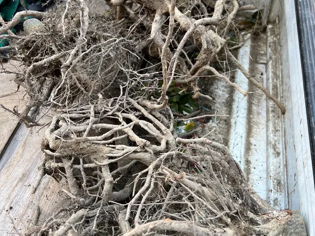 作業外注一切なし◎駐車場代お店負担♪豊富な経験と知識で安心！サービスの画像