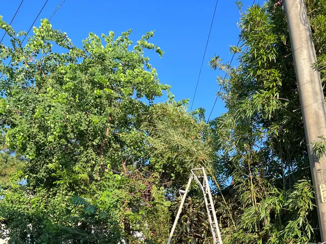 作業外注一切なし◎駐車場代お店負担♪豊富な経験と知識で安心！サービスの画像