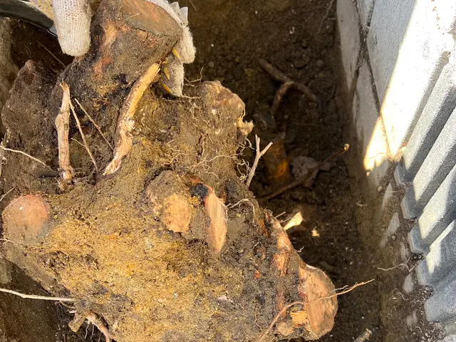 作業外注一切なし◎駐車場代お店負担♪豊富な経験と知識で安心！サービスの画像