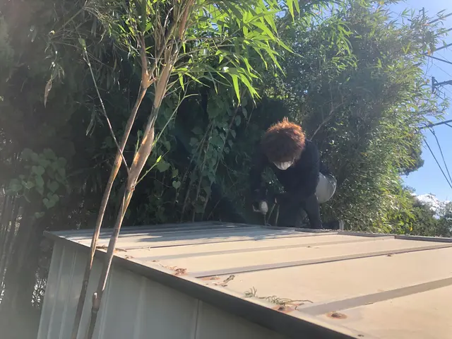 【古くなった物置・錆で傷んだ物置・半壊している物置】どのような状態でも歓迎です！サービスの画像