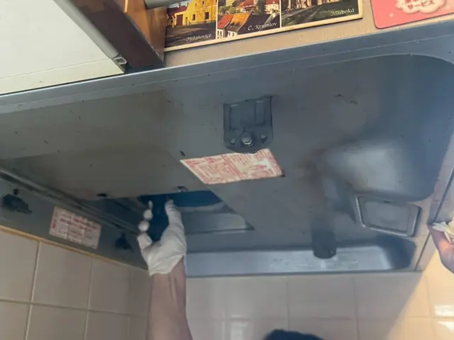 ☆大手清掃会社経験スタッフ☆赤ちゃん・ペットに安心な洗剤使用☆彡サービスの画像