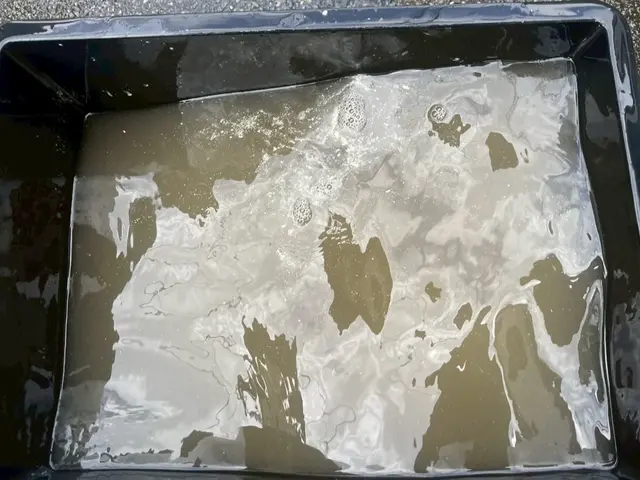 ☆大手清掃会社経験スタッフ☆赤ちゃん・ペットに安心な洗剤使用☆彡サービスの画像