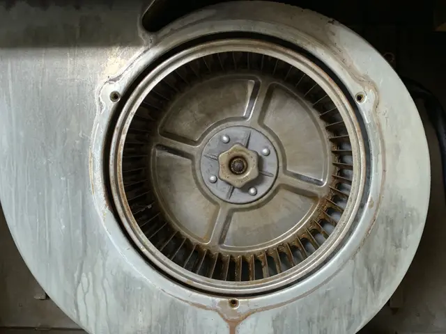 安心、丁寧、綺麗が売り！女性スタッフがお伺いします！サービスの画像