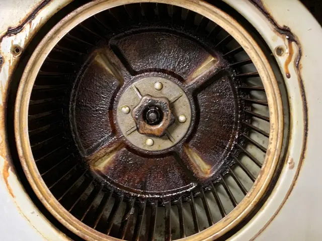 安心、丁寧、綺麗が売り！女性スタッフがお伺いします！サービスの画像