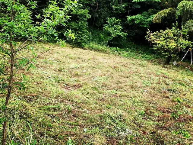 【印象第一！】質重視の丁寧作業！サービスの画像