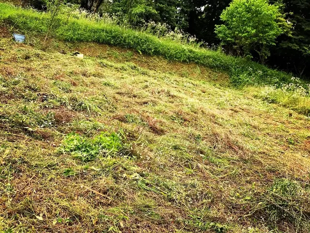 【印象第一！】質重視の丁寧作業！サービスの画像