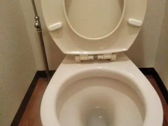 【年中無休・地域密着】　トイレクリーニングよろしくお願い致します！P代お店負担サービスの画像