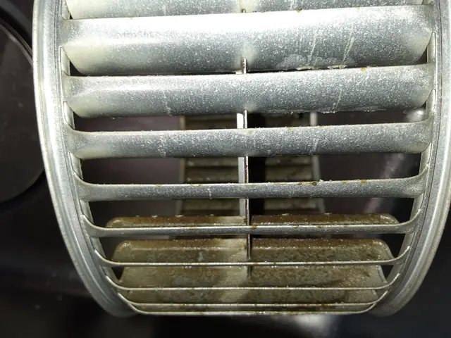 ☆秋のセール☆エコ洗剤使用^_^親切丁寧な2児パパがお伺いさせて頂きます。サービスの画像