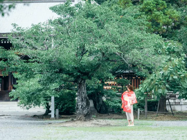 【初回限定価格】高品質な写真と満足なサービスを、お求めやすい価格でご提供します。