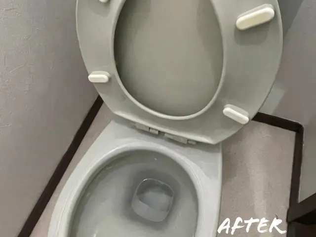 【愛知・名古屋】トイレクリーニング｜尿石・黒ずみ徹底除去・安心施工サービスの画像