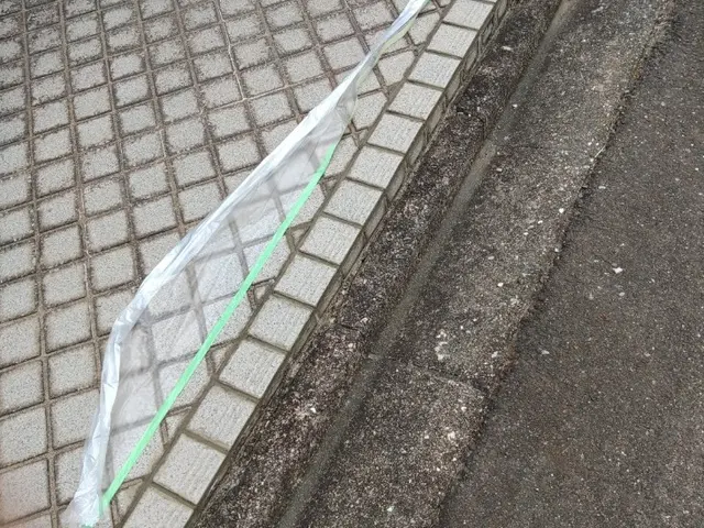 玄関タイルのクリーニング承ります（補修も可能）サービスの画像