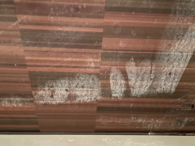 お風呂のお悩み解決！カビ・石鹸かす・水垢をプロの技術と安心な洗剤でキレイに。サービスの画像