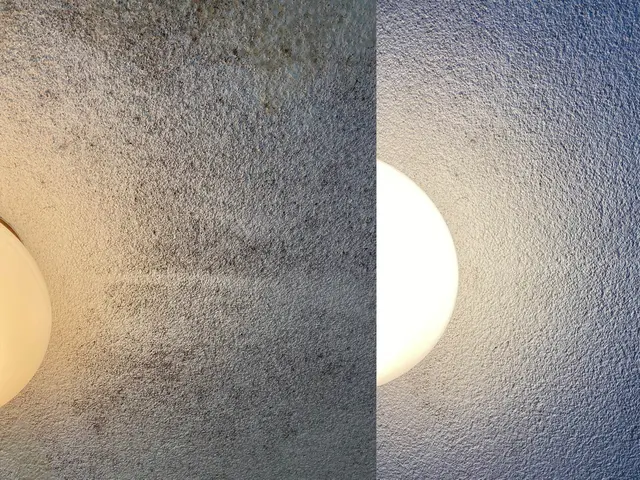 お風呂のお悩み解決！カビ・石鹸かす・水垢をプロの技術と安心な洗剤でキレイに。サービスの画像