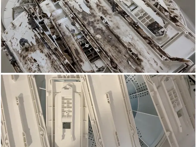 ！洗濯槽外します！ワカメ、匂いが劇的に改善★ビートウォッシュ対応してます！サービスの画像