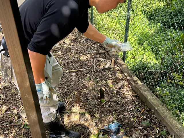 安心の価格帯！丁寧な作業で仕上がりもバッチリ！関西の庭作業のことならお任せ下さいサービスの画像