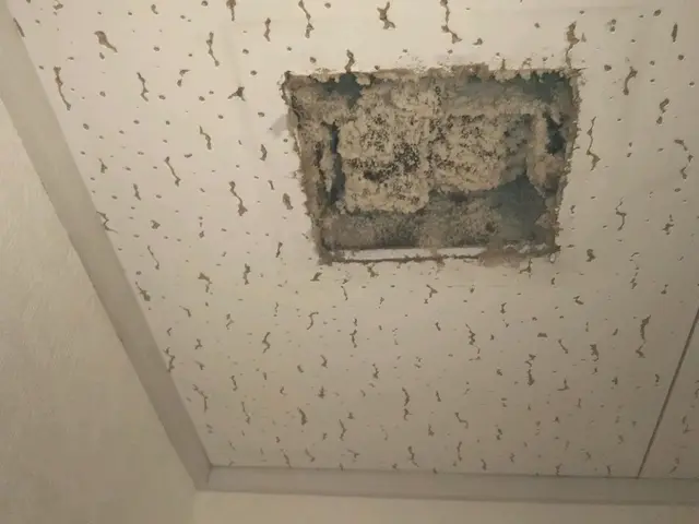 ＜誠実な対応を第一に＞ハウスクリーニング士在籍！女性スタッフ同行もOK！サービスの画像