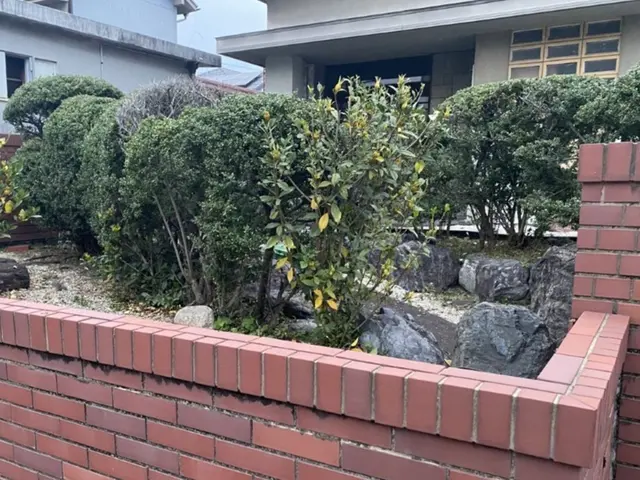 植え込み・生垣の剪定　どんな状態でもお気軽にご相談ください！サービスの画像