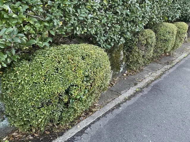 植え込み・生垣の剪定　どんな状態でもお気軽にご相談ください！サービスの画像