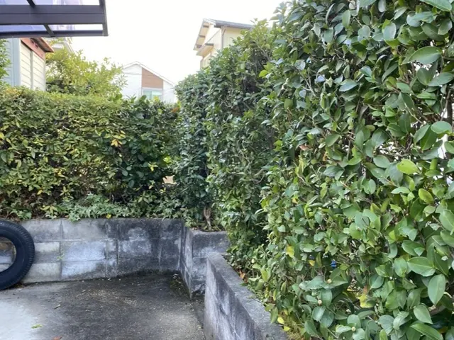 植え込み・生垣の剪定　どんな状態でもお気軽にご相談ください！サービスの画像