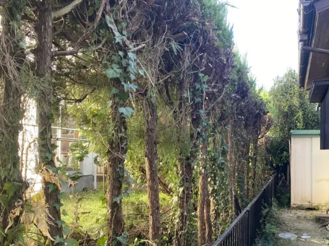 植え込み・生垣の剪定　どんな状態でもお気軽にご相談ください！サービスの画像