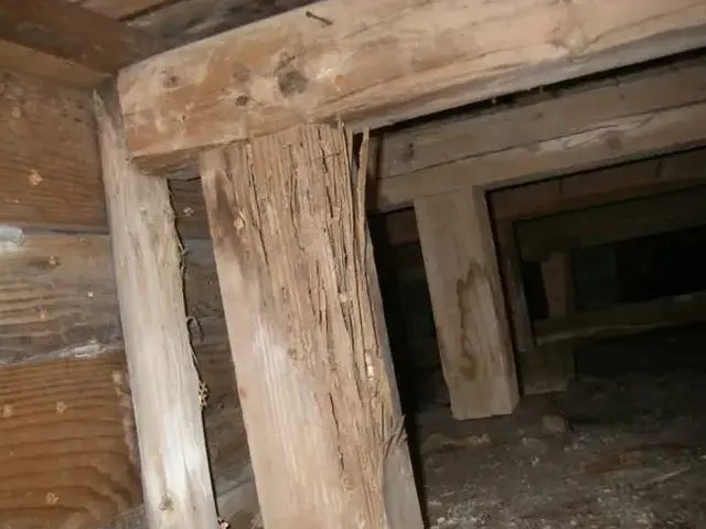 白アリ駆除歴10年以上の有資格者多数在籍【事前見積り無料】【事前調査可サービスの画像