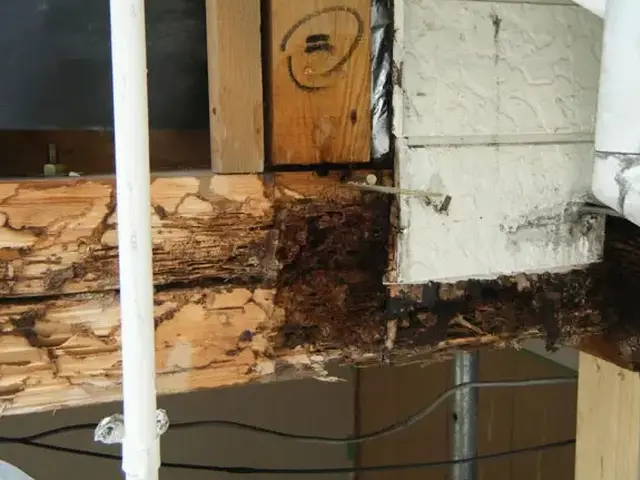 白アリ駆除歴10年以上の有資格者多数在籍【事前見積り無料】【事前調査可サービスの画像