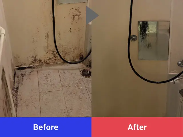 【人気セット】水回り3点クリーニング（お風呂・換気扇・キッチン）サービスの画像