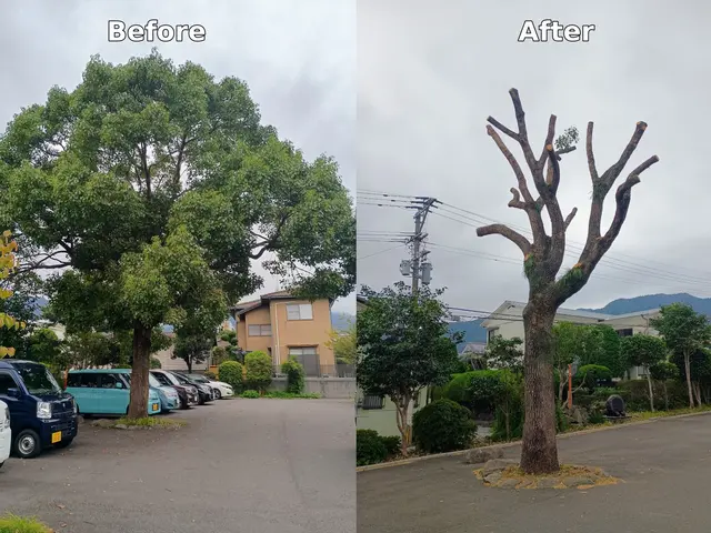 ★技能講習受講者で安心★クレーンが入らなくてもロープで安全対応★高木もおまかせサービスの画像